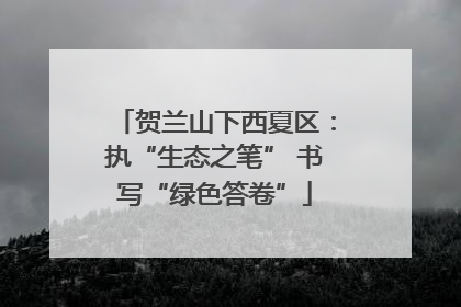 贺兰山下西夏区：执“生态之笔” 书写“绿色答卷”